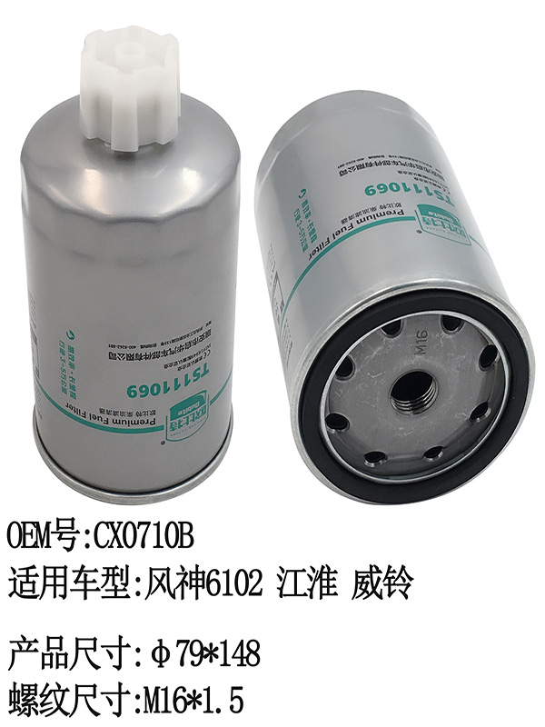 TS111069 FUEL Filter | CX0710B/FF5327