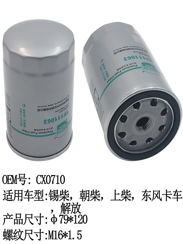 TF111063 FUEL Filter | CX0710