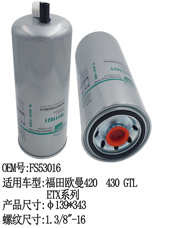 TS111021 FUEL Filter | FS53016