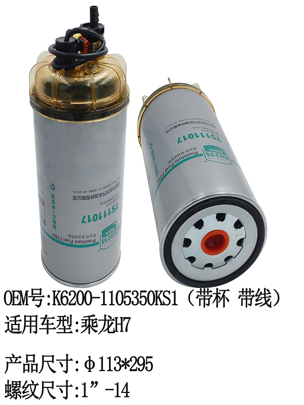 TS111017 FUEL Filter | K6200-1105350KSI