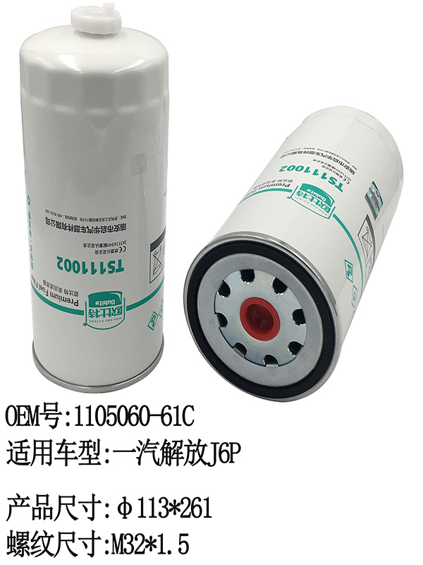 TS111002 FUEL Filter | 1105060-61C