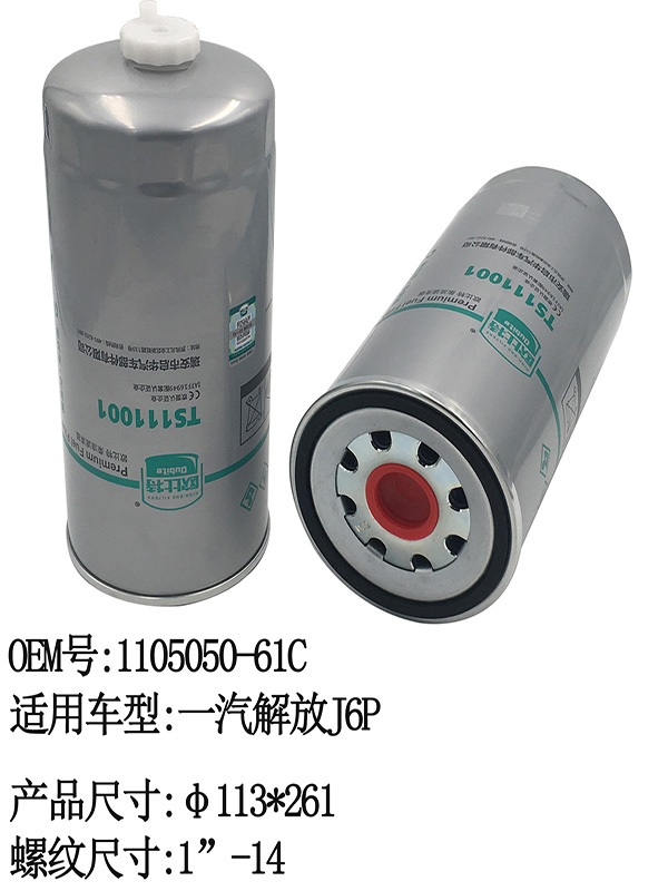 TS111001 FUEL Filter | 1105050-61C