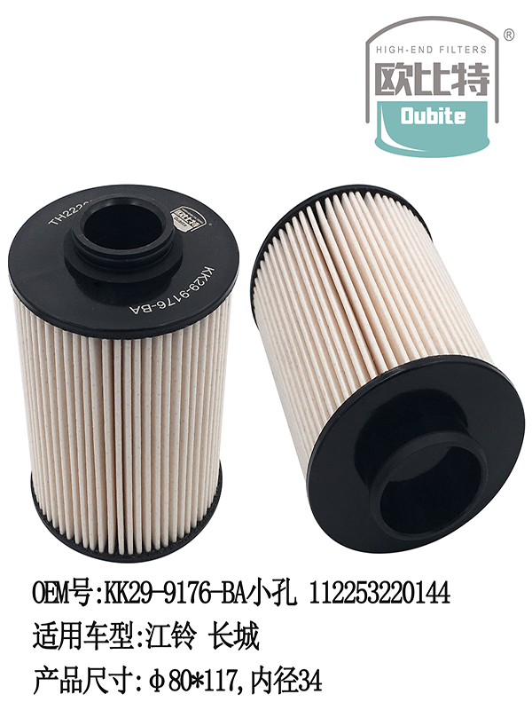 TH222076 Environmental protection paper filter | KK29-9176-BA小孔 112253220144